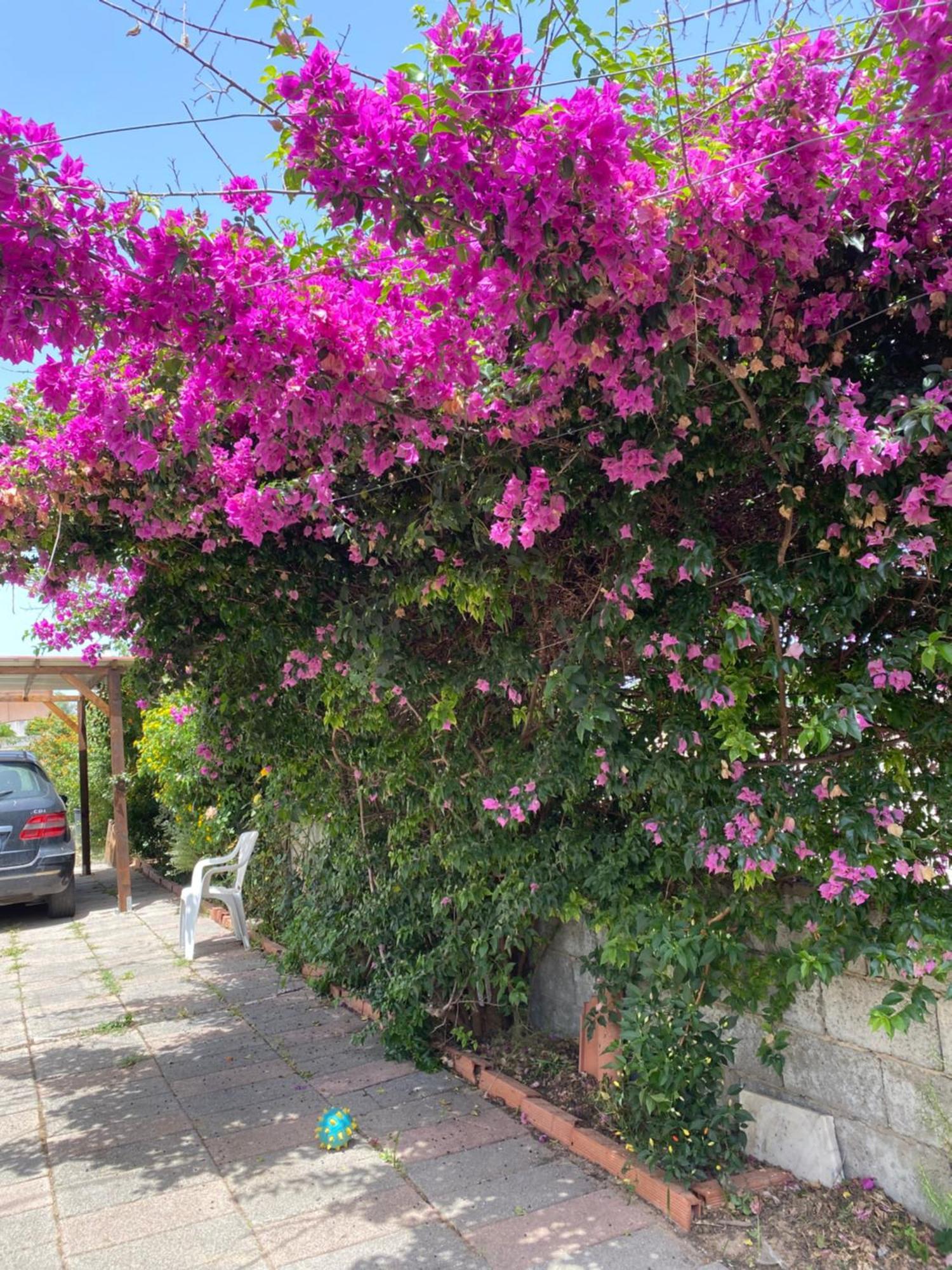 L'Incognita Bed and Breakfast San Nicolo d'Arcidano Εξωτερικό φωτογραφία